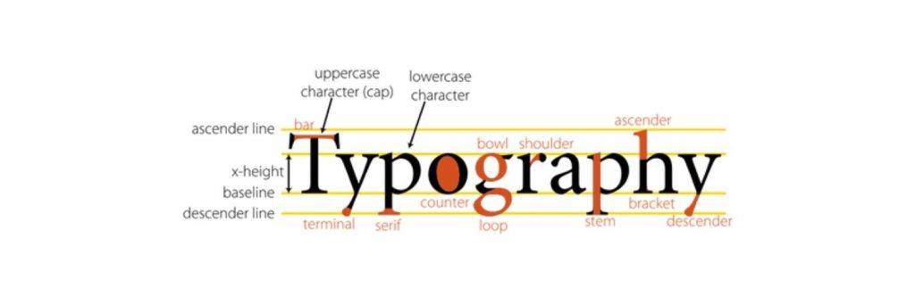 Basics in Typography - Typographic Anatomy