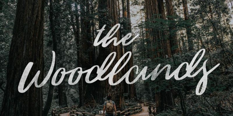 Best Cursive Fonts - The WoodLands Font